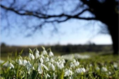 WildesWeingarten-V-02