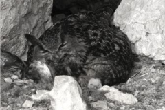 WildesWeingarten-V-03