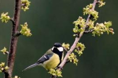 WildesWeingarten-V-04