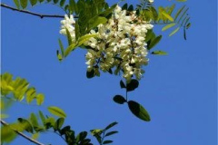 WildesWeingarten-V-05