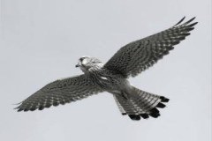 WildesWeingarten-V-07