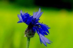 WildesWeingarten-V-08