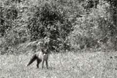 WildesWeingarten-V-09