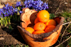 Orangenkorb #Tj1