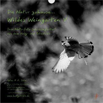 Deckblatt des neuen Jahresbegleiters "wildes Weingarten V"; schwarz-weiß-Bild eines auffliegenden Falken und Beschriftung